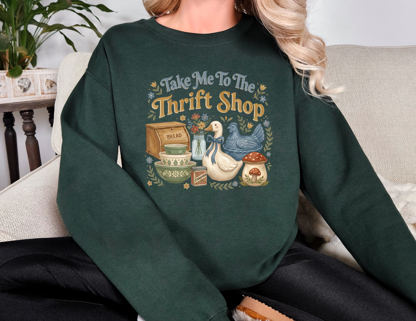 Take Me To the Thrift Shop