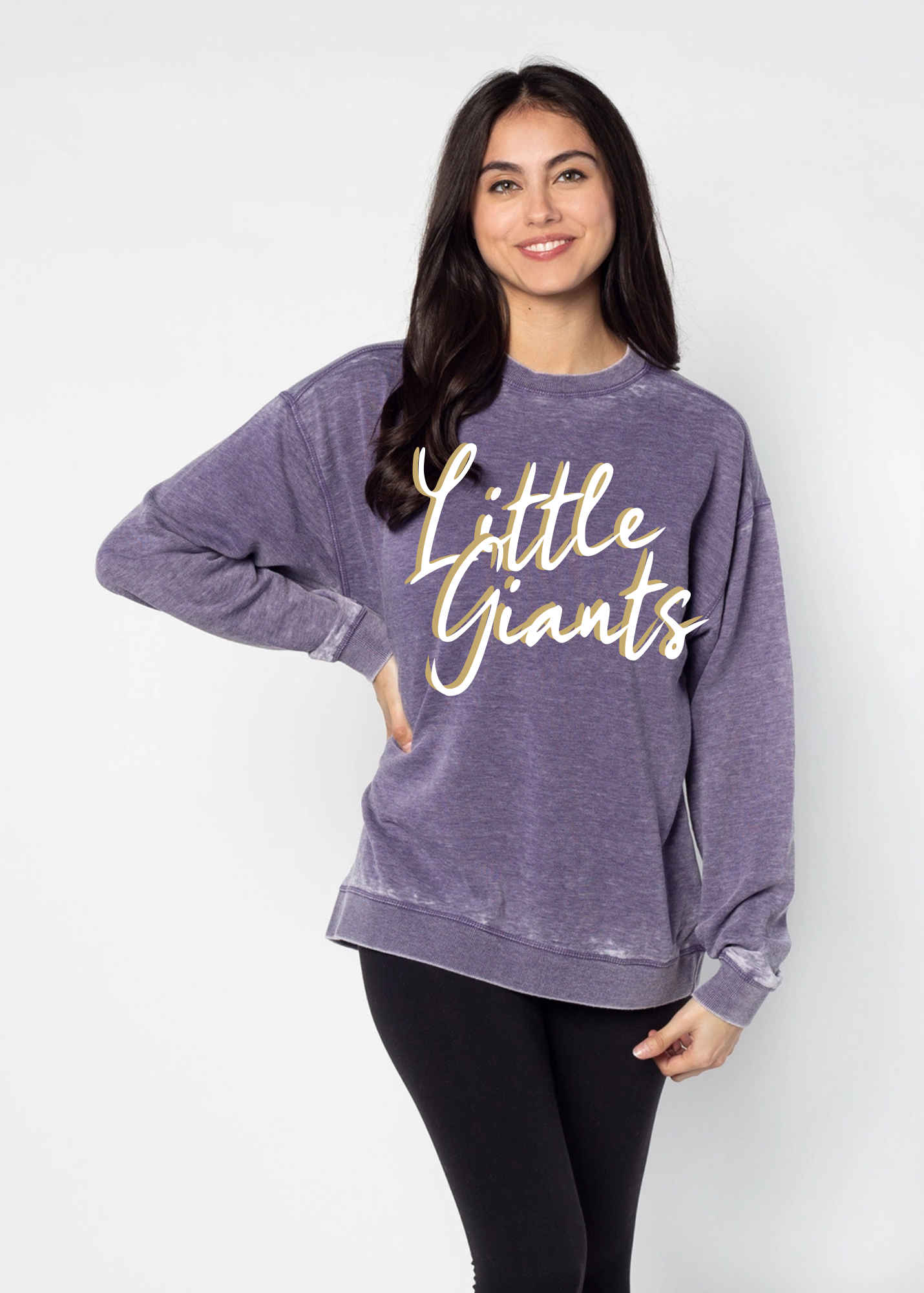 Acid Wash Mascot Crewneck