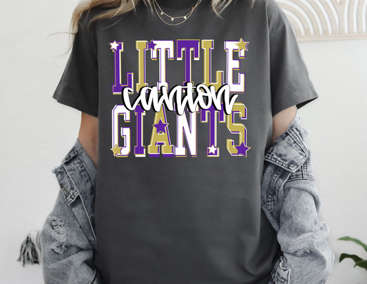 Little Giants Graphic Spirit CC Tee