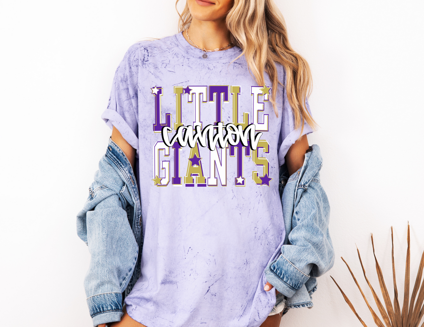Little Giants Graphic Spirit CC Tee