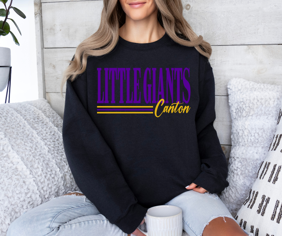 Little Giants Retro Lines Crewneck