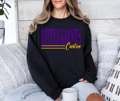 Little Giants Retro Lines Crewneck