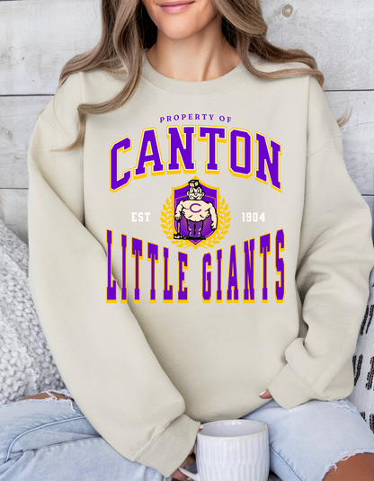 Canton Little Giants Vintage Crew and Tee