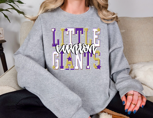 Little Giants Graphic Spirit Crew and Bella Canvas