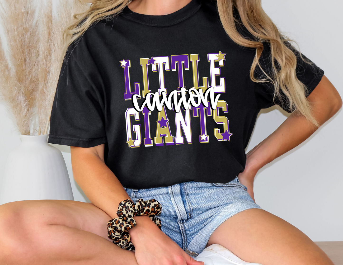 Little Giants Graphic Spirit Crew and Bella Canvas