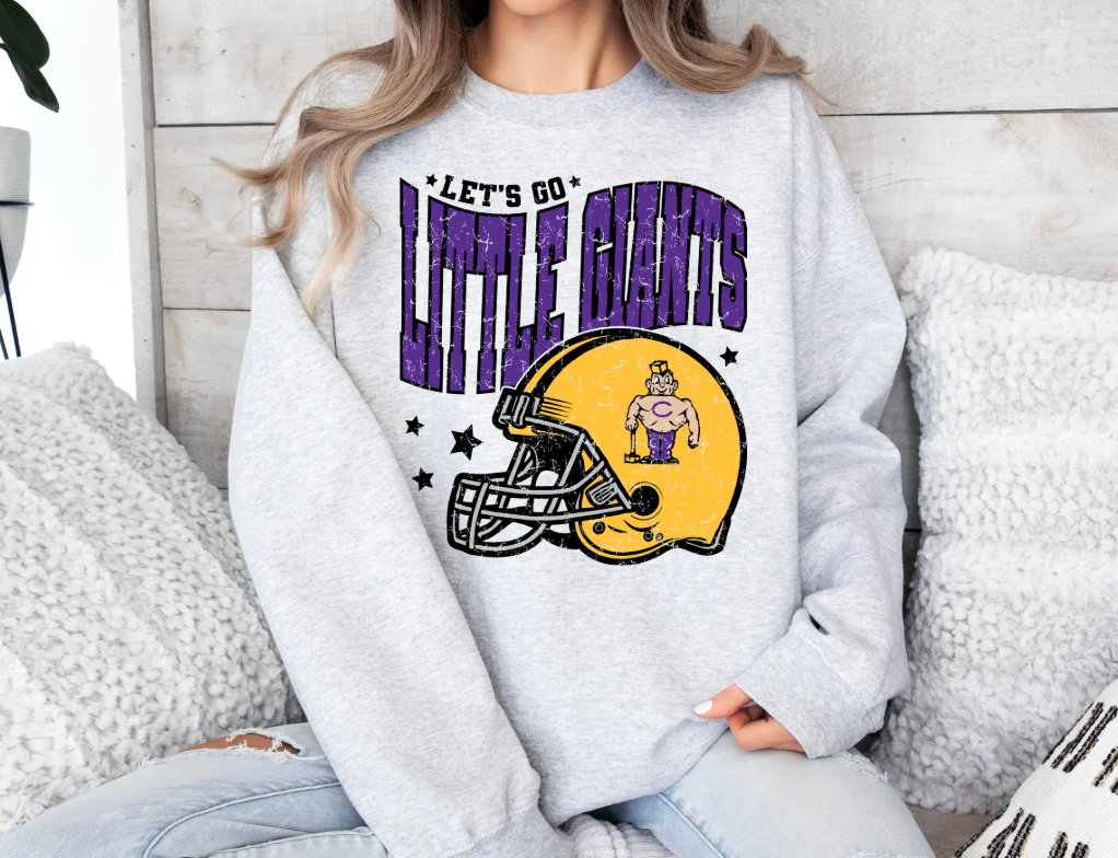 Little Giants Football Bundle