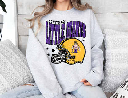 Little Giants Football Bundle