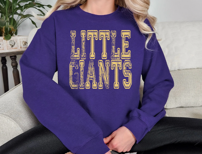 Little Giants Football Bundle